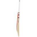 Gray-Nicolls Neocore 500 Cricket Bat
