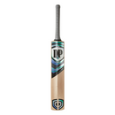D&P Vector KW Cricket Bat 2025