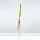 Gray-Nicolls Ventus 1.3 Warrior Cricket Bat