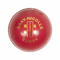 Gray-Nicolls Demon 2pc Cricket Ball