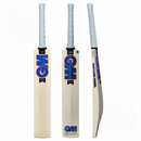 Gunn & Moore Radon Cricket Bat