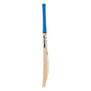 D&P Blade Blue PPP Cricket Bat