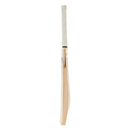 D&P Blade RPP Cricket Bat