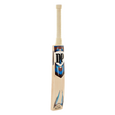 D&P Blade Suede PPP Cricket Bat