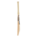 D&P Blade Suede PPP Cricket Bat