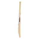 D&P Blade Suede PPP Cricket Bat