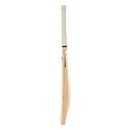 D&P Blade UPP Cricket Bat