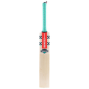 Gray-Nicolls Ventus Gen 1.0 300 Cricket Bat