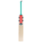 Gray-Nicolls Ventus Gen 1.0 300 Cricket Bat