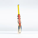 Gray-Nicolls Havoc HB317 Test Cricket Bat
