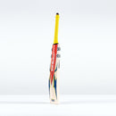 Gray-Nicolls Havoc HB317 Test Cricket Bat