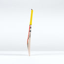 Gray-Nicolls Havoc HB317 Test Cricket Bat