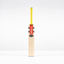 Gray-Nicolls Havoc HB317 Test Cricket Bat