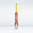Gray-Nicolls Havoc HB317 Test Cricket Bat