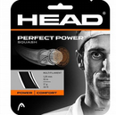 Head Perfect Power 17 Squash String