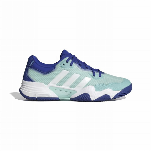 Adidas SoleMatch Control Men's Tennis Shoes (ID5680) – Province Sports