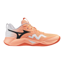 Mizuno Wave Momentum Pro Unisex Indoor Court Shoes (V1GA254080)