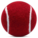 Heavy Tennis Ball - Whiz Ball