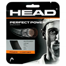 Head Perfect Power 16 Squash String