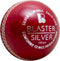 Blaster Silver 2pce Cricket Ball