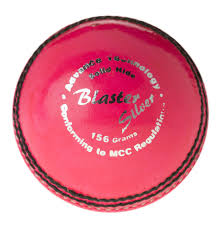 Blaster Silver 2pce Cricket Ball