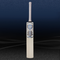 D&P Denim IV Cricket Bat 2023