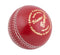 Blaster Bronze 2pc Cricket Ball